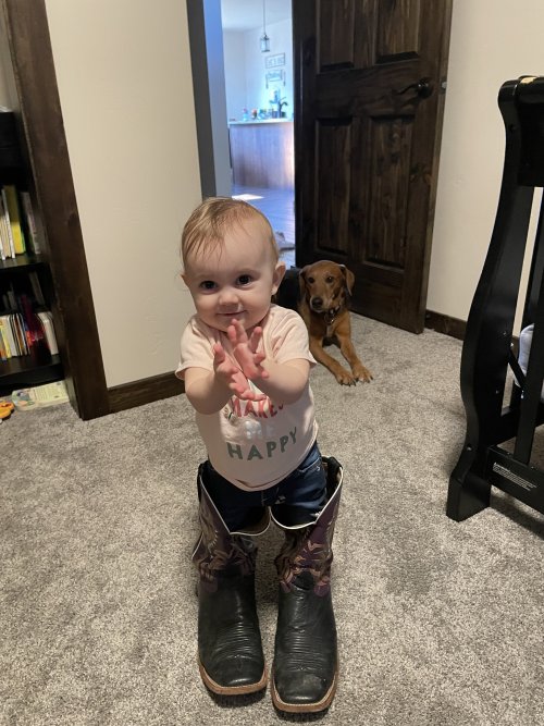 A81D03AB-1B0C-4B77-AE28-203F8CBF482C.jpeg
