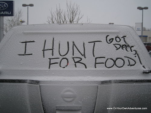 IMG_4911.JPG IMG_4911.JPG