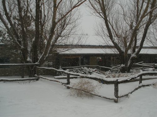 GEDC0970.JPG