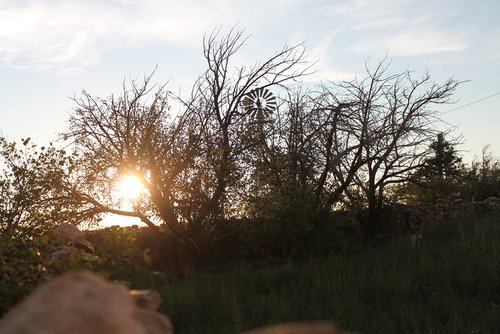 Ranch.jpg Ranch.jpg