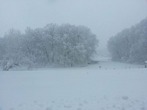snow 1-5-14.jpeg