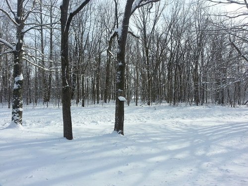 snow 2014.jpeg
