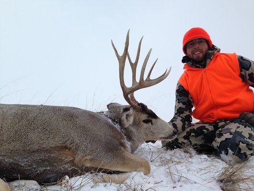 13 CO Deer BIII.jpg 13 CO Deer BIII.jpg