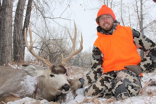 13 CO Deer B.jpg 13 CO Deer B.jpg