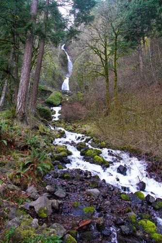 IMG_7431.jpg