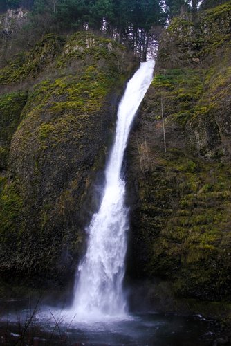 IMG_7450.jpg
