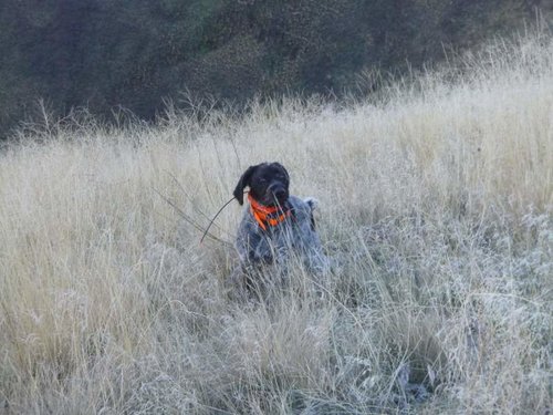 Janaury chukar hunt 006.jpg