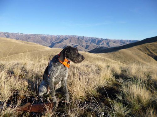 Janaury chukar hunt 008.jpg