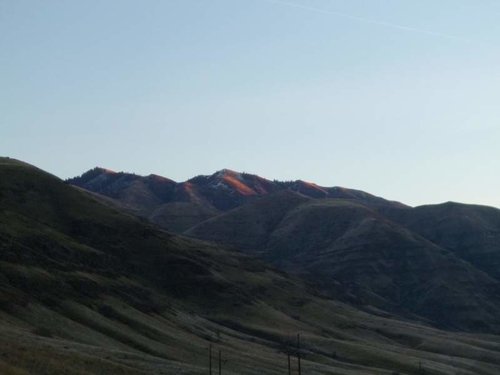 Janaury chukar hunt 011.jpg