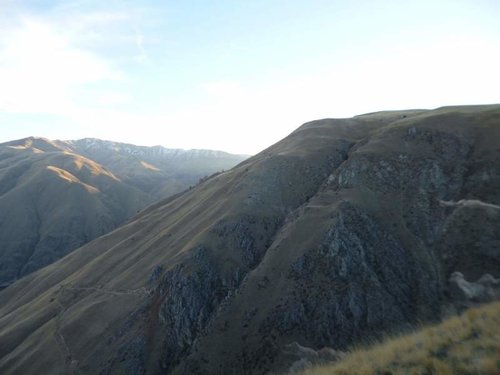 Janaury chukar hunt 023.jpg