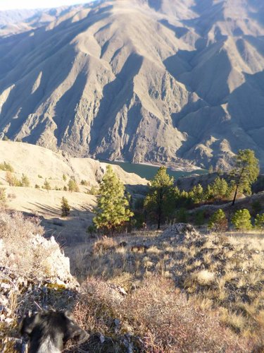 Janaury chukar hunt 025.jpg