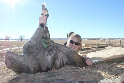 1st goose.jpg