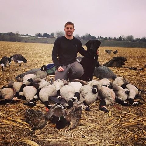 geese.jpg
