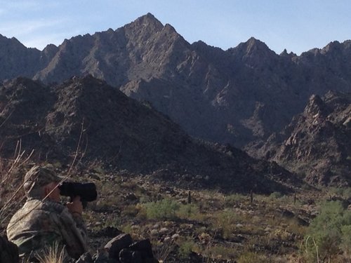 Tom's sheep hunt 3 - opening morn glassing.JPG