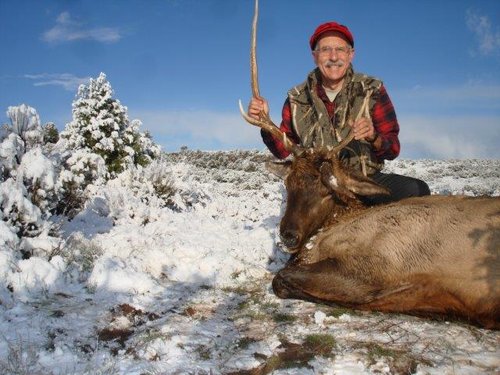 NM_11 024 demon bull red.jpg NM_11 024 demon bull red.jpg