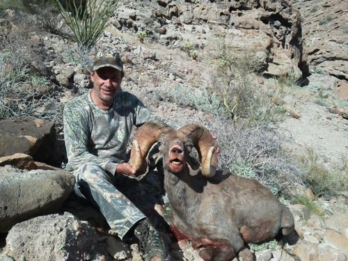 Tom's sheep hunt - Kev's neighbor Tom Guffin's ram 1.jpg Tom's sheep hunt - Kev's neighbor Tom Guffin's ram 1.jpg
