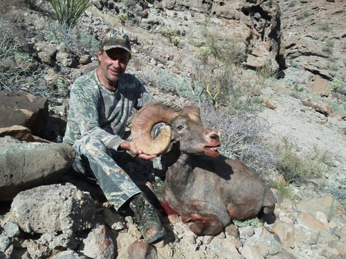 Tom's sheep hunt - Kev's neighbore Tom Guffin's ram 2.jpg Tom's sheep hunt - Kev's neighbore Tom Guffin's ram 2.jpg