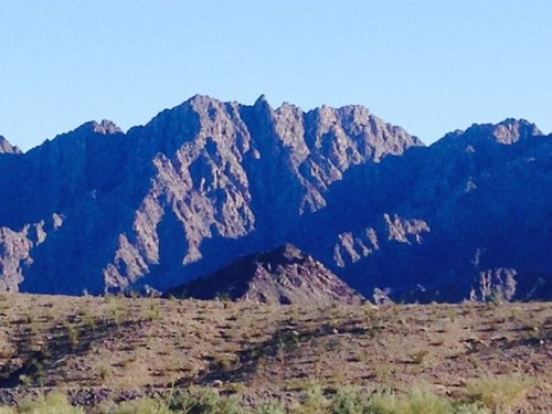 Tom's sheep hunt - Red Ram mtn.JPG