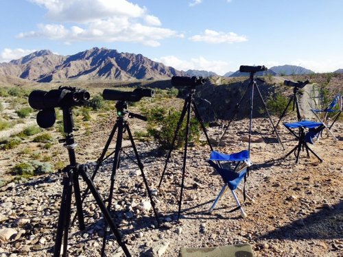 Tom's sheep hunt - optics line-up for 4 guys.JPG