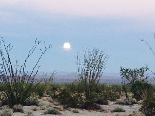 Tom's sheep hunt - passed ram eve moonrise.JPG