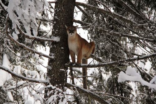 Copy of IMG_2409.jpg