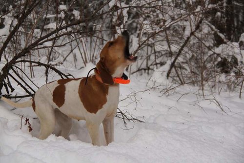 Copy of IMG_2420.jpg