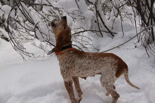 Copy of IMG_2424.jpg