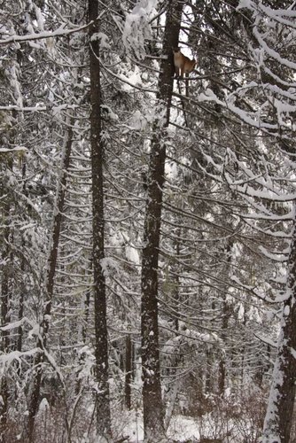 Copy of IMG_2431.jpg