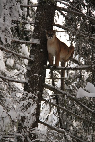 Copy of IMG_2432.JPG