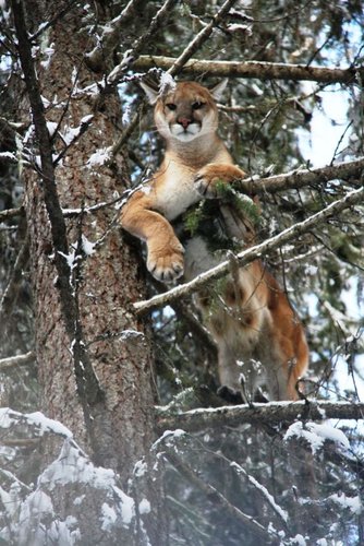 Copy of IMG_2442.jpg