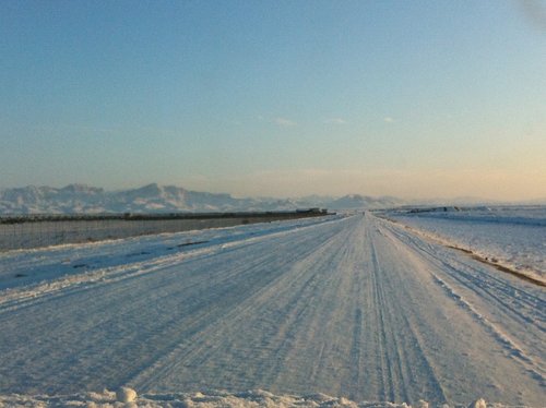 IMG_1390.JPG IMG_1390.JPG