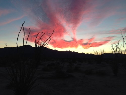 Tom's sheep hunt - Don's last hurrah sunset.JPG