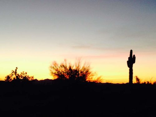 tom's sheep hunt - last day sunrise.jpg