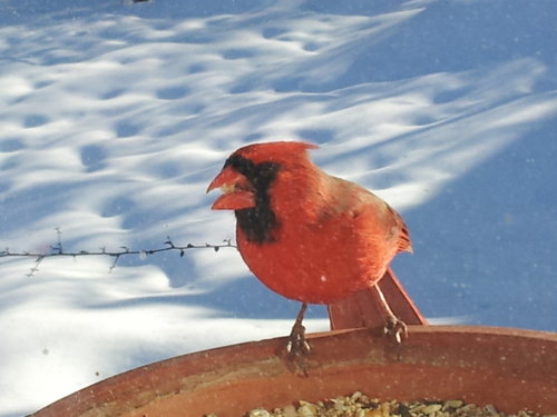 20140218_160103.jpg