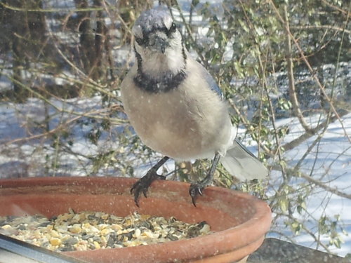 20140218_143745.jpg