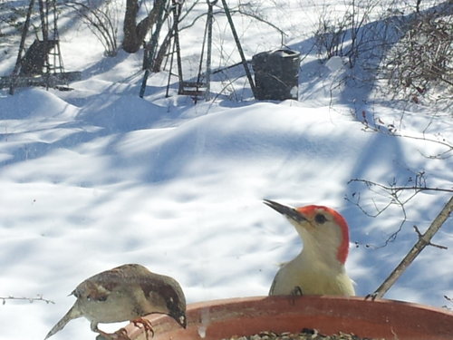 20140218_143458.jpg