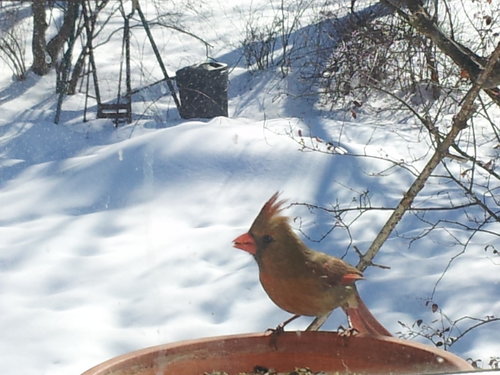 20140218_143247.jpg