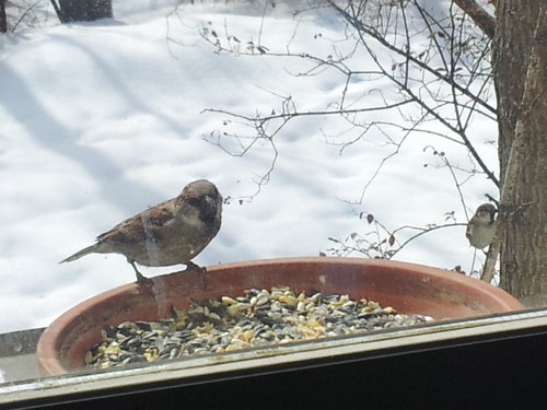 20140216_114012.jpg