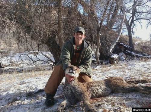 Nebraska Mountain Lion.JPG