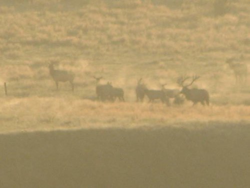IMG_4955.jpg