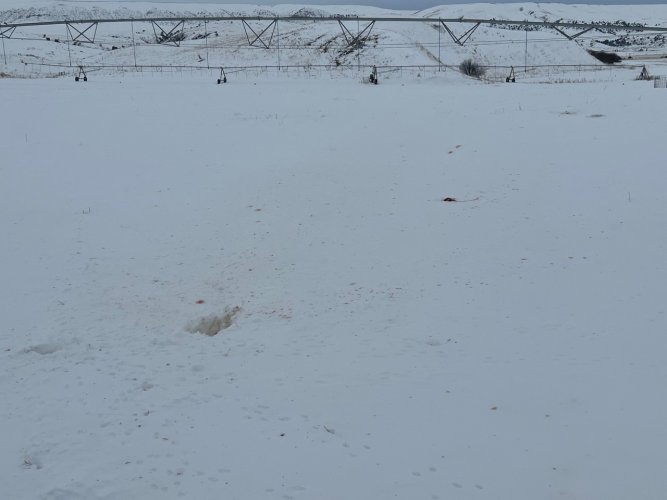 thumbnail_IMG_0792 (1).jpg