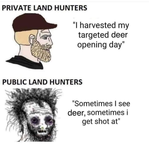 1680105680945.png 1680105680945.png