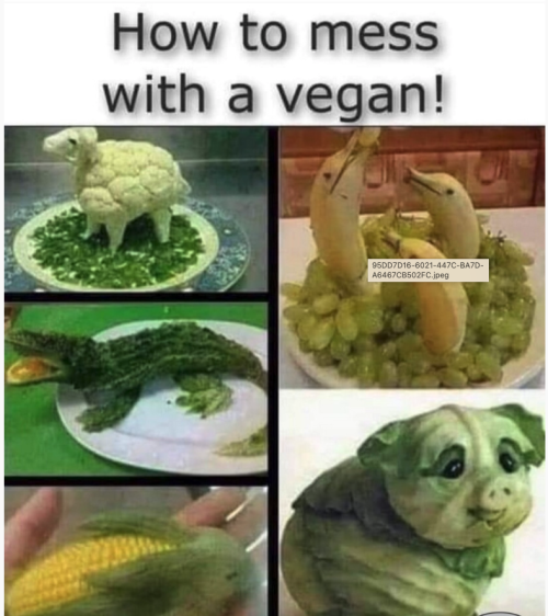 1680194652530.png