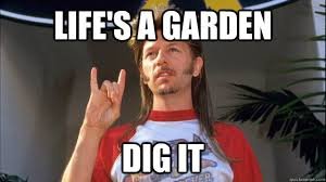 joe dirt.jpg