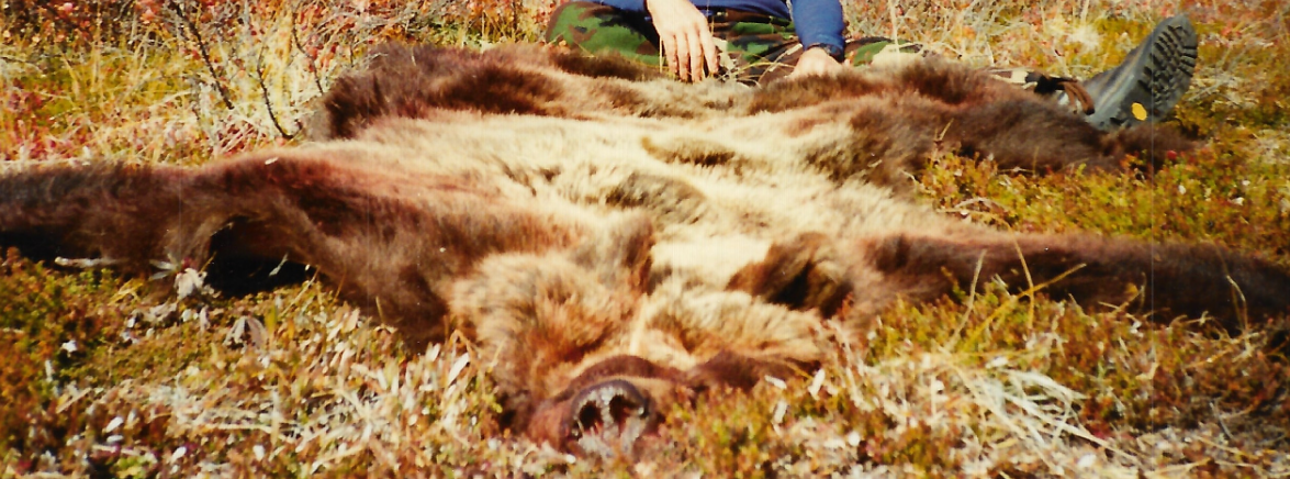 interior_griz.png interior_griz.png