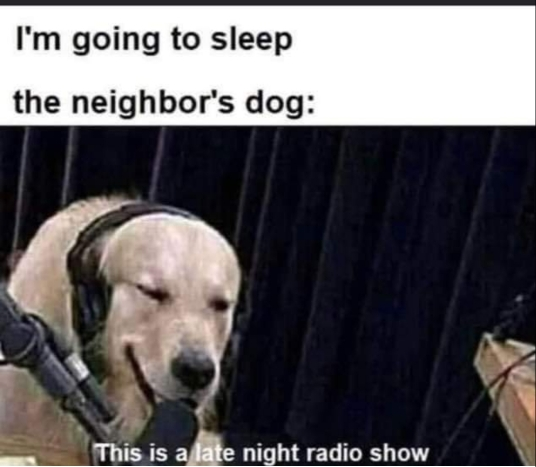 1680358909273.png