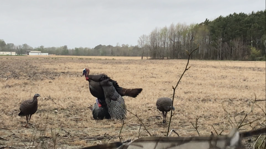 CF4E8B89-AB6E-4380-B5FB-39F5EB65321F.png CF4E8B89-AB6E-4380-B5FB-39F5EB65321F.png