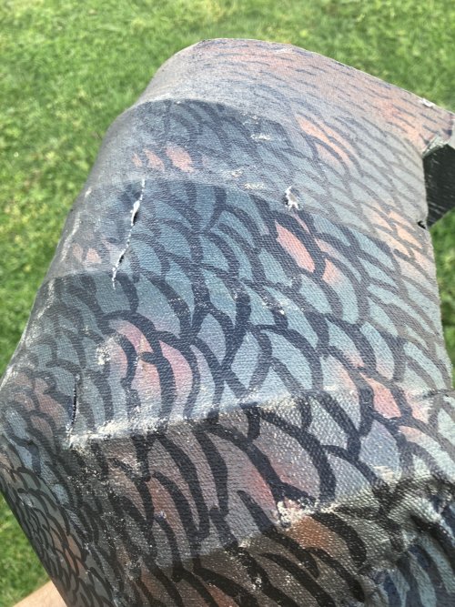 86ACD599-D737-416B-BDE1-5C586F91AAB2.jpeg 86ACD599-D737-416B-BDE1-5C586F91AAB2.jpeg