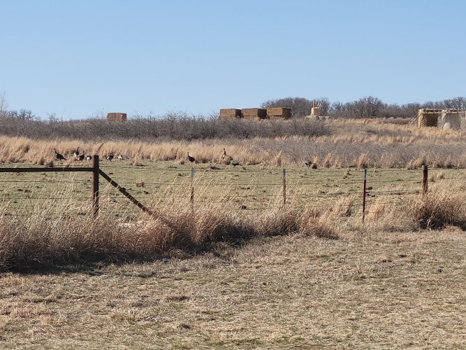 20230402_171227.jpg 20230402_171227.jpg