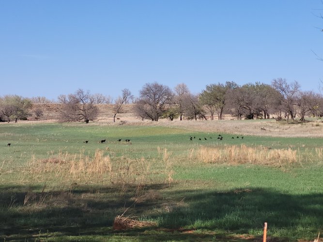 20230402_164558.jpg 20230402_164558.jpg